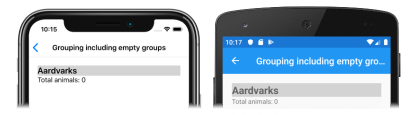 CollectionView with an empty group Screenshot of an empty group in a CollectionView, on iOS and Android