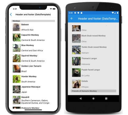 CollectionView template header and footer Screenshot of a CollectionView header and footer using templates, on iOS and Android