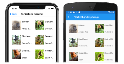 CollectionView item spacing Screenshot of a CollectionView with item spacing, on Android