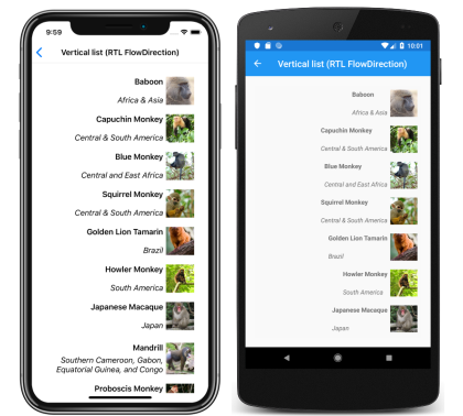 CollectionView right-to-left vertical list layout Screenshot of a CollectionView right-to-left vertical list layout, on iOS and Android