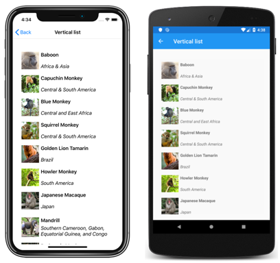 CollectionView vertical list layout Screenshot of a CollectionView vertical list layout, on iOS and Android