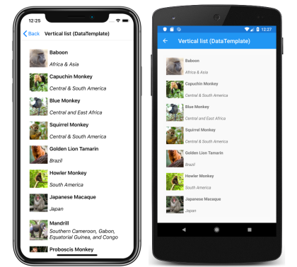 Templated items in a CollectionView Screenshot of CollectionView where each item is templated, on iOS and Android