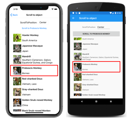 CollectionView vertical list with scrolled item Screenshot of a CollectionView vertical list with ScrollToPosition.Center, on iOS and Android