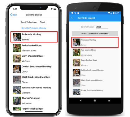 CollectionView vertical list with scrolled item Screenshot of a CollectionView vertical list with ScrollToPosition.Start, on iOS and Android