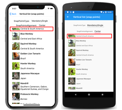 CollectionView vertical list with center snap points Screenshot of a CollectionView vertical list with center snap points, on iOS and Android