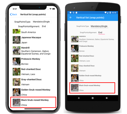 CollectionView vertical list with end snap points Screenshot of a CollectionView vertical list with end snap points, on iOS and Android