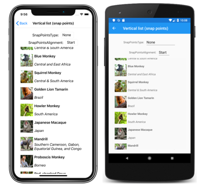 CollectionView vertical list without snap points Screenshot of a CollectionView vertical list without snap points, on iOS and Android