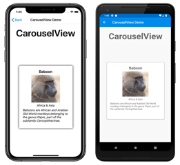 CarouselView Example CarouselView Example