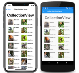 CollectionView Example CollectionView Example