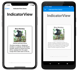 IndicatorView Example IndicatorView Example