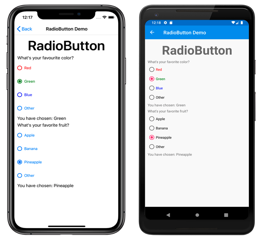 RadioButton Example RadioButton Example
