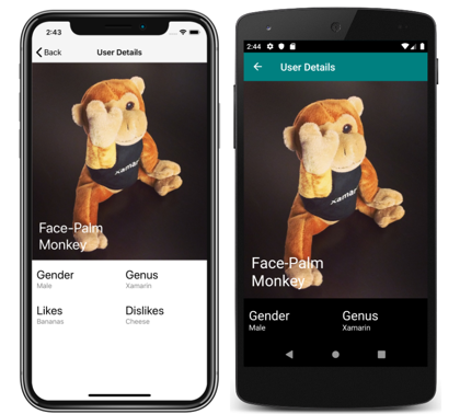 Detail page of themed app Screenshot of the detail page of a themed app, on iOS and Android