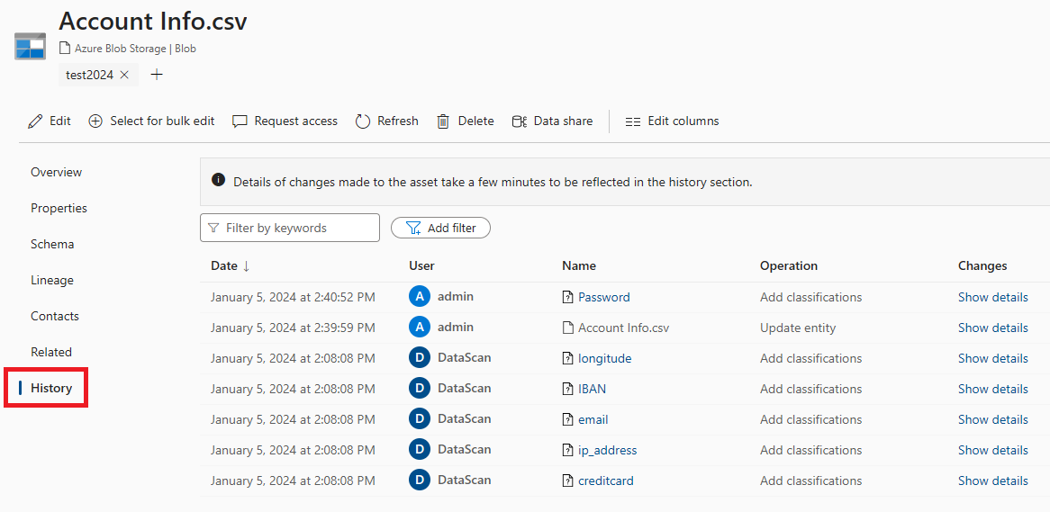 Screenshot of the in-solution history experience, with the history tab highlighted.