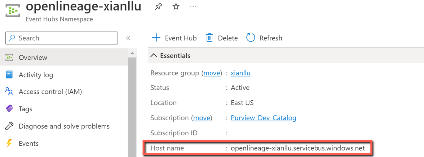 Screenshot of Get host name from Event Hubs namespace