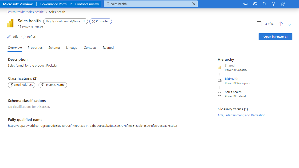 Screenshot showing how Overview tab is rendered for Power BI assets.