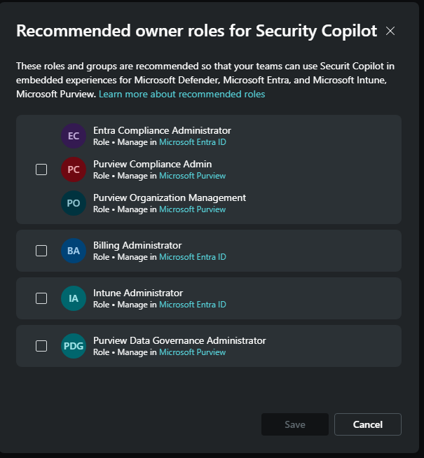 Screenshot of recommended Security Copilot owner roles