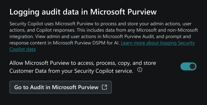Image of Logging audit data in Microsoft Purview in the Owner settings page