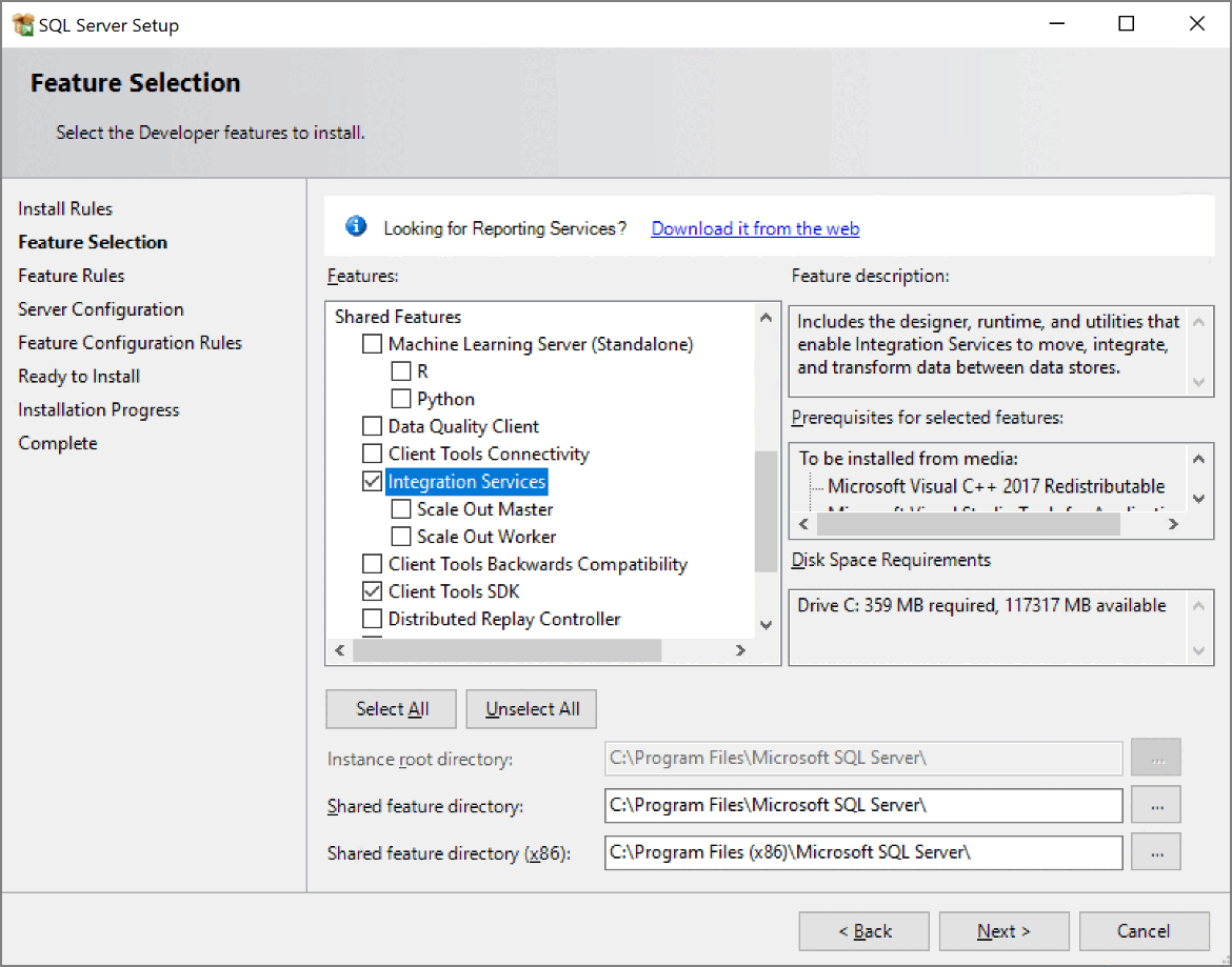 Screenshot of Install Integration Services feature selection.