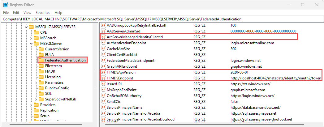 Screenshot of the registry set with correct entries.