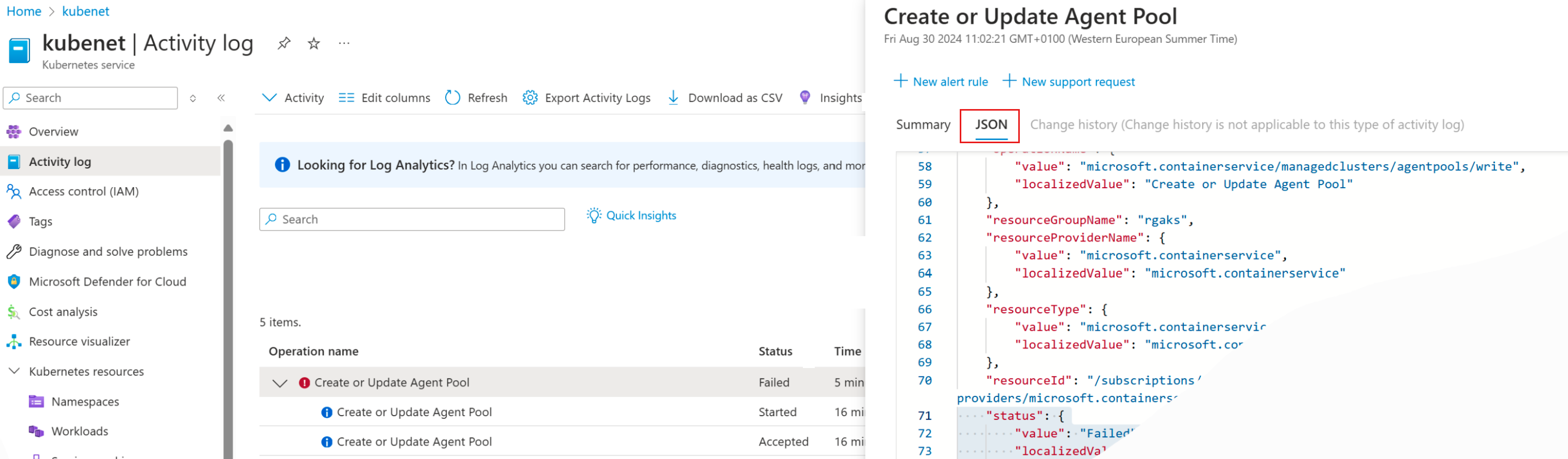 Screenshot of the detailed log in JSON format.