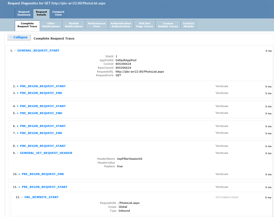 Screenshot of a browser window showing the Request Diagnostics for the example website in a tab.