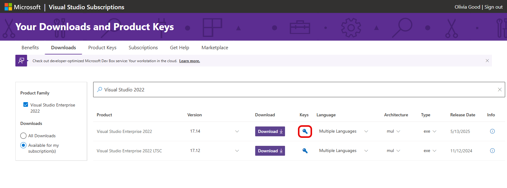 Screenshot of the download page for Visual Studio Enterprise 2022. The blue key icon is highlighted. Get Key from Downloads Page