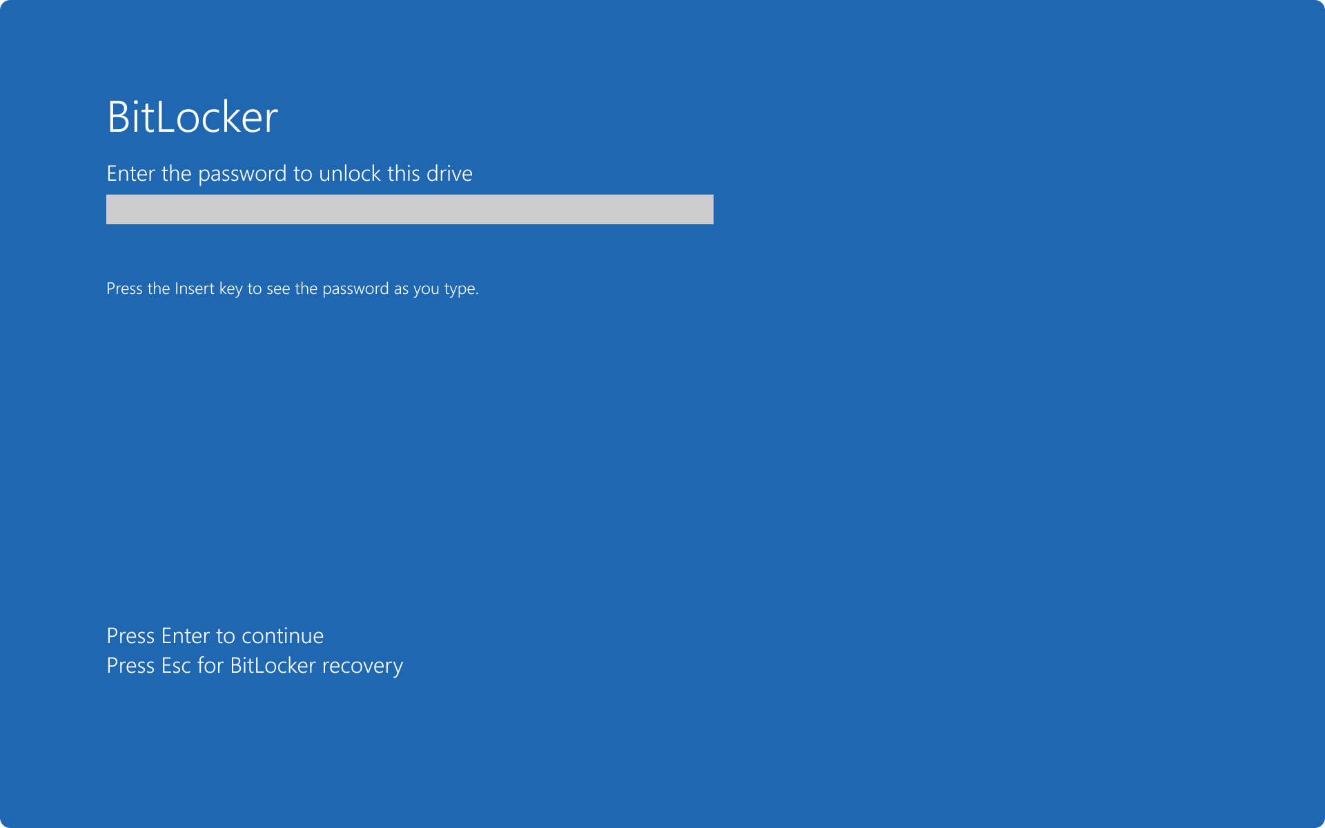Screenshot of the BitLocker preboot screen prompting to enter a password.