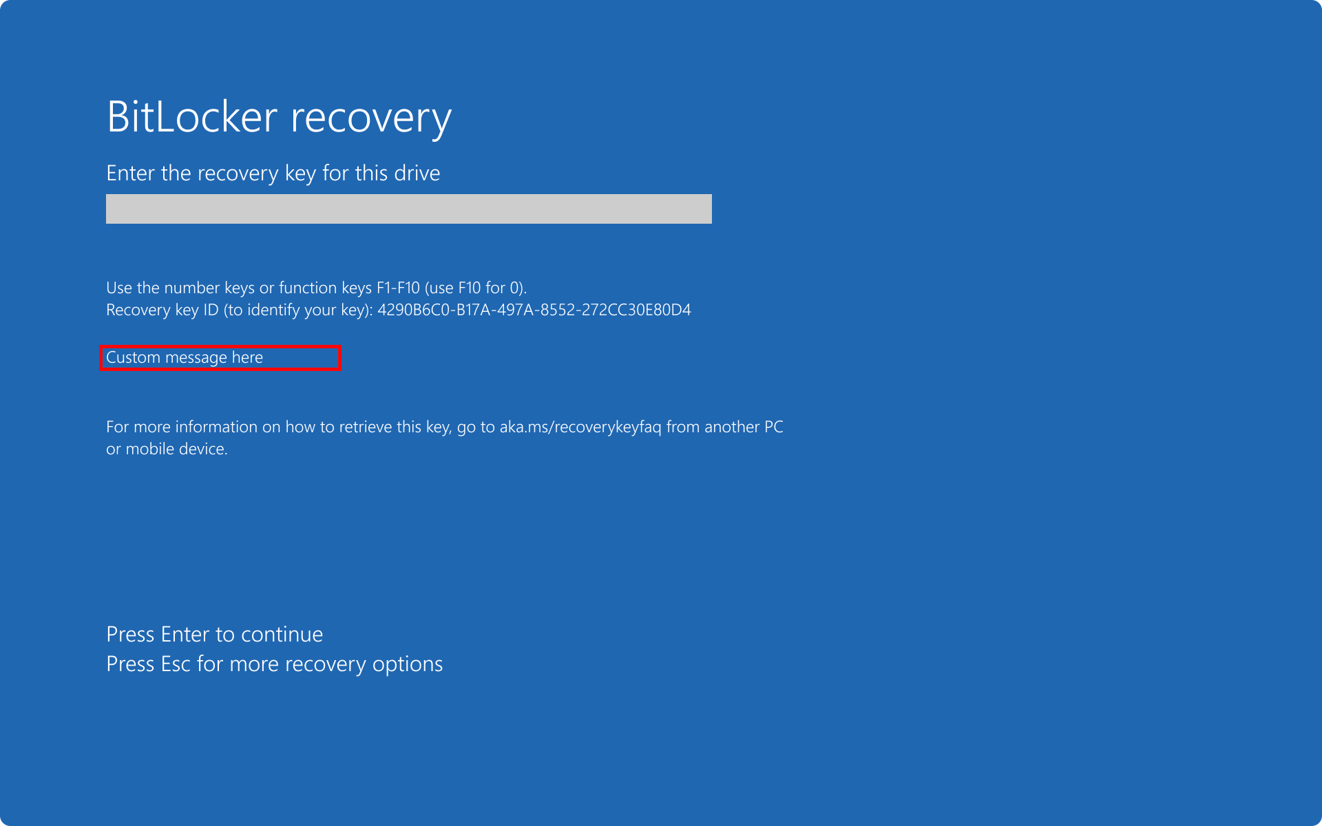 Screenshot of the BitLocker recovery screen showing a custom message.