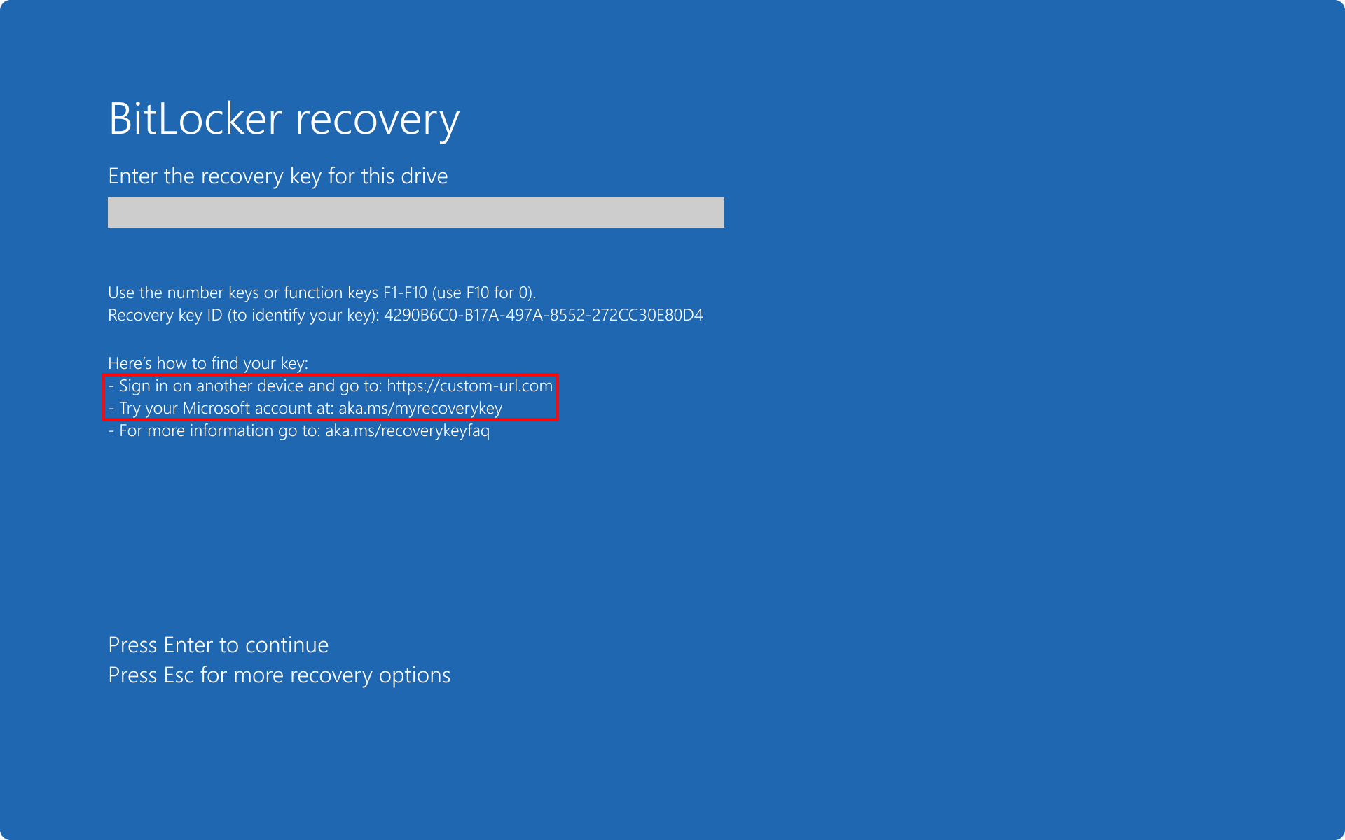 Screenshot of the BitLocker recovery screen showing a custom URL and the hint where the BitLocker recovery key was saved.