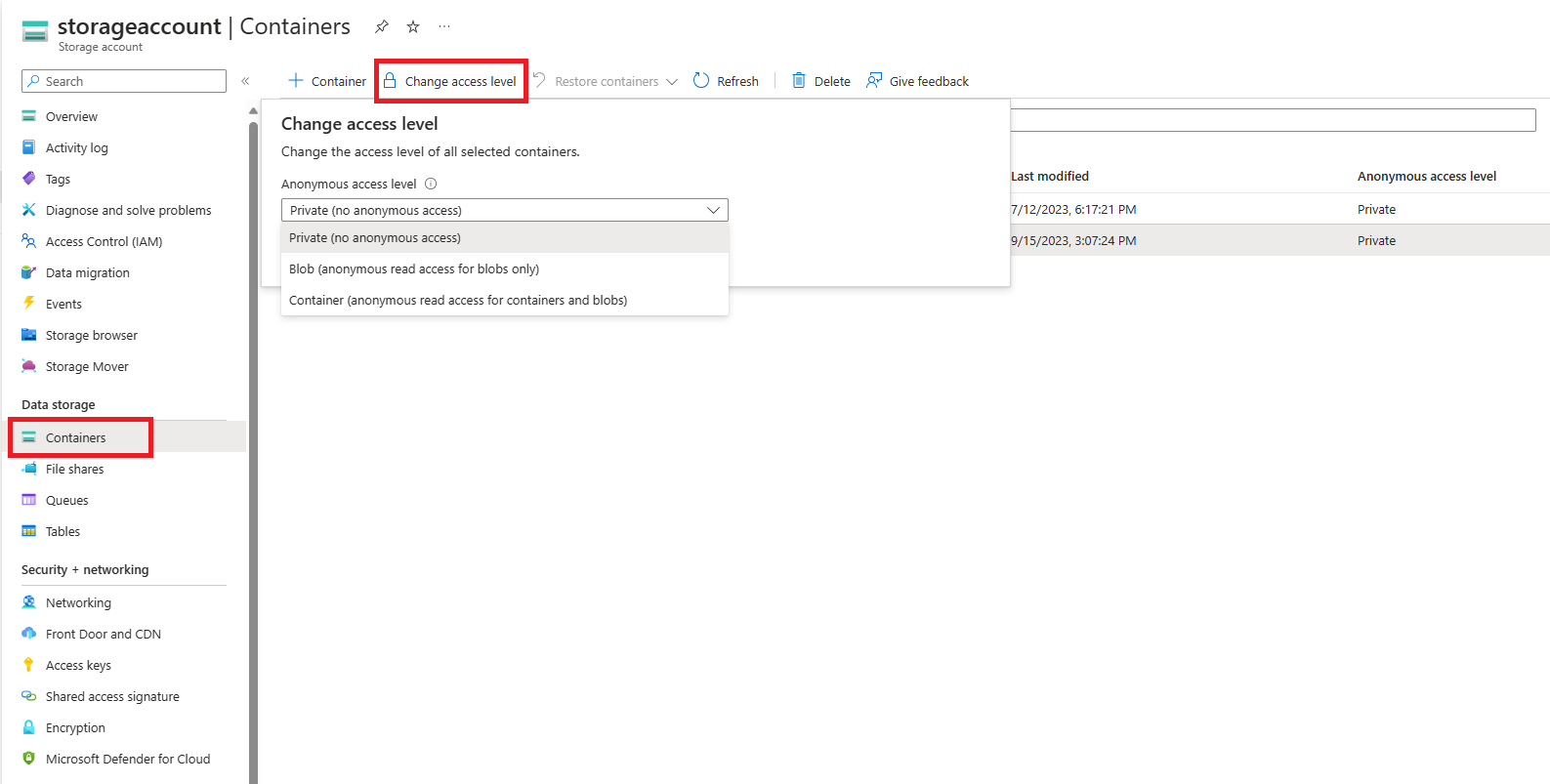 Screenshot showing how to set anonymous access level in the portal.