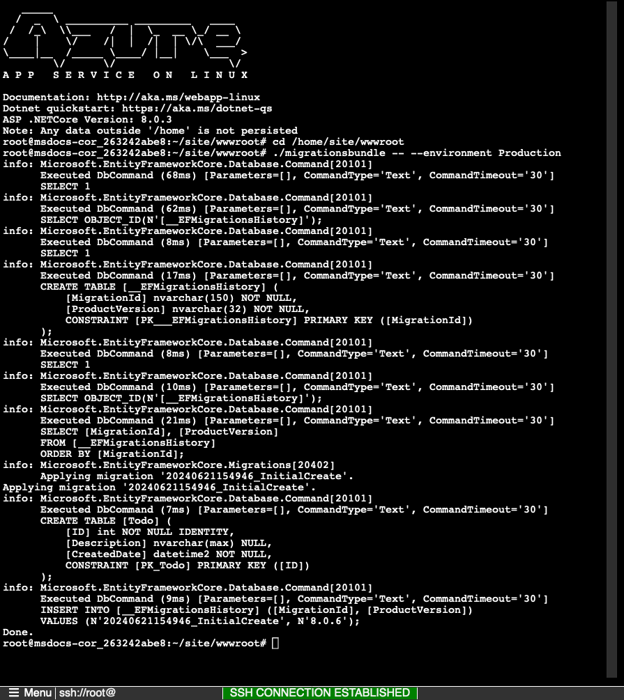 En skärmdump som visar kommandona som körs i SSH-skalet och deras utdata.