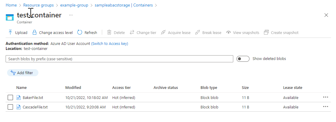 Skärmbild av lagringscontainer med testfiler.