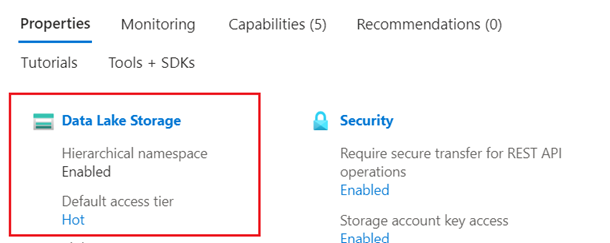 Azure 门户中 Azure Data Lake Storage 帐户的屏幕截图。