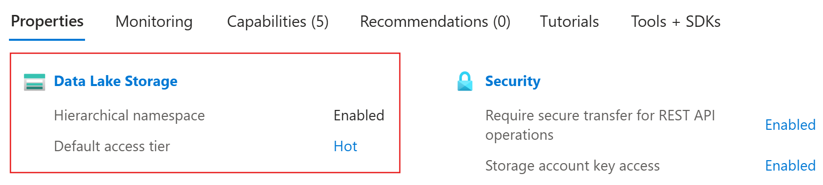 Azure 门户中 Azure Data Lake Storage 帐户的屏幕截图。