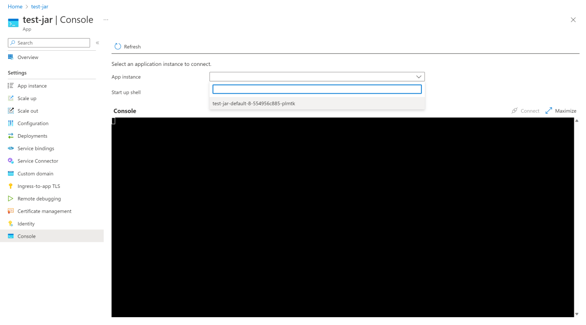 显示应用实例的“Azure 门户控制台”页的屏幕截图。