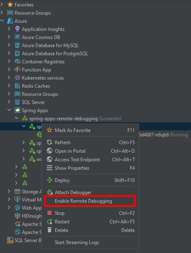 IntelliJ 的屏幕截图,其中显示了“启用远程调试”菜单选项。