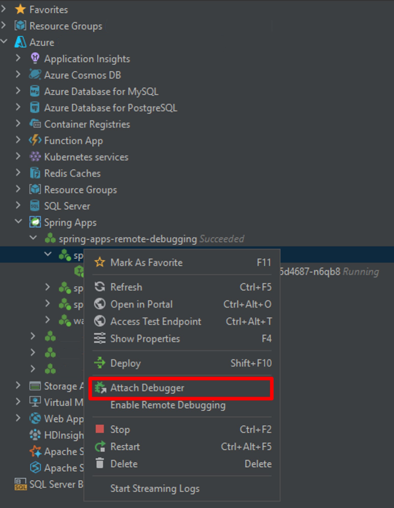IntelliJ 的屏幕截图,其中显示了“附加调试程序”菜单选项。