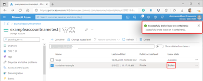 显示容器在 Azure 门户中损坏的租约的屏幕截图。