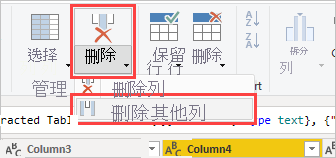 屏幕截图显示突出显示的列,其中在功能区中选择了“删除其他列”。
