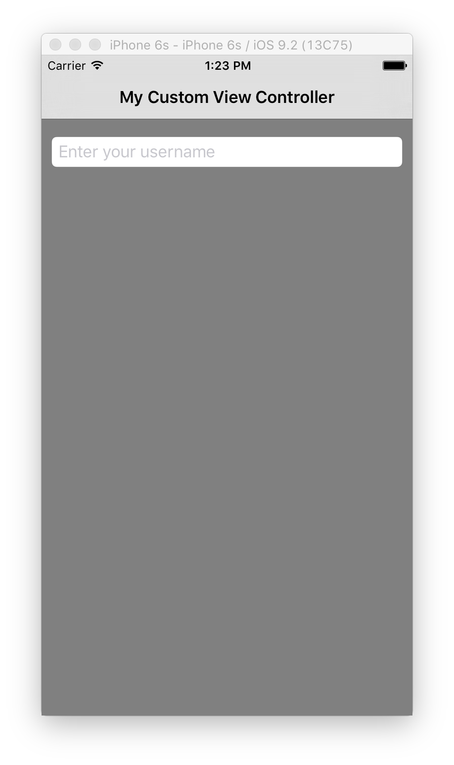 包含 UITextField 的应用程序