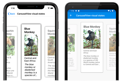 CarouselView 视觉状态 iOS 和 Android 上使用视觉状态的 CarouselView 的屏幕截图