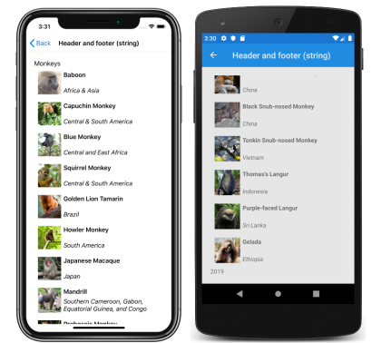 CollectionView 字符串页眉和页脚 iOS 和 Android 上的 CollectionView 字符串页眉和页脚的屏幕截图