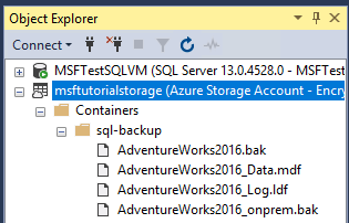 SSMS 中对象资源管理器的屏幕截图,其中显示了 AZURE 中 SQL Server 实例条目下的容器中的数据文件。
