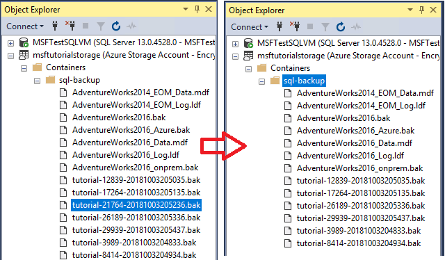 SQL Server Management Studios 存储浏览器的屏幕截图,其中显示了 Azure 容器和事务日志备份 blob 的删除。