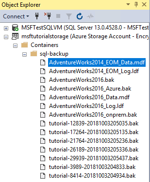 SQL Server Management Studio 的 Azure 容器存储浏览器的屏幕截图,其中显示了新数据库的数据和日志文件。