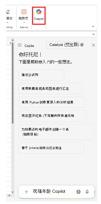 Excel 中提供各种初学者提示的 Copilot 窗格的屏幕截图。