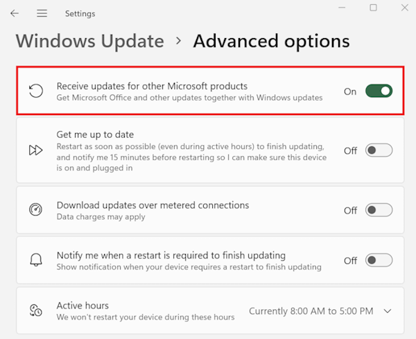 Windows 更新高级选项